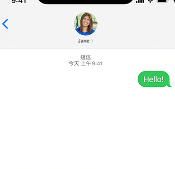 博湖apple维修iPhone上无法正常发送iMessage信息