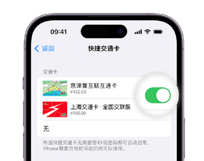 博湖apple维修点分享iPhone上更换Apple Pay快捷交通卡手绘卡面 