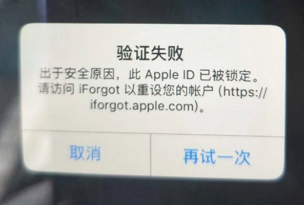 博湖iPhone维修分享iPhone上正常登录或使用AppleID怎么办 