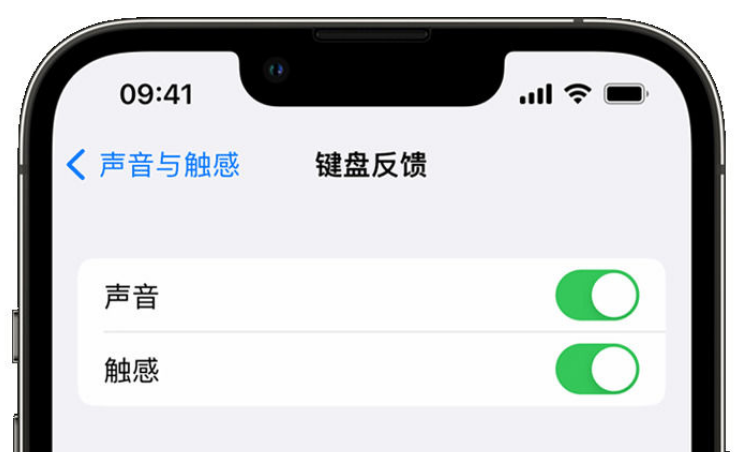 博湖苹果手机维修分享iPhone 14触感键盘使用方法 