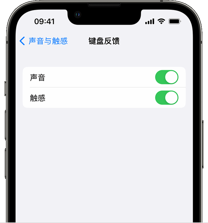 博湖苹果14维修店分享如何在 iPhone 14 机型中使用触感键盘 