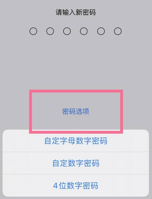 博湖苹果14维修分享iPhone 14plus设置密码的方法 