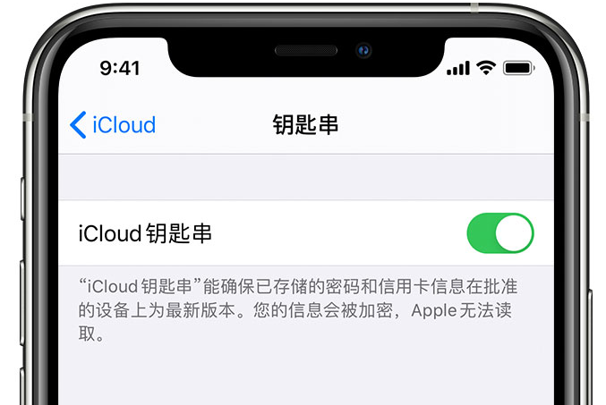 博湖苹果手机维修分享在 iPhone 上开启 iCloud 钥匙串之后会储存哪些信息 