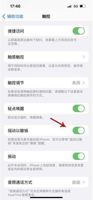 博湖苹果手机维修分享iPhone手机如何设置摇一摇删除文字 