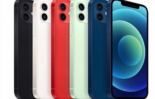 博湖苹果维修点分享iPhone12 Pro Max进水维修 